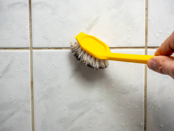 Best Commercial Mold Removal  in Del Rio, CA