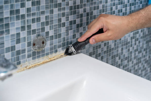 Certified Mold Removal in Del Rio, CA